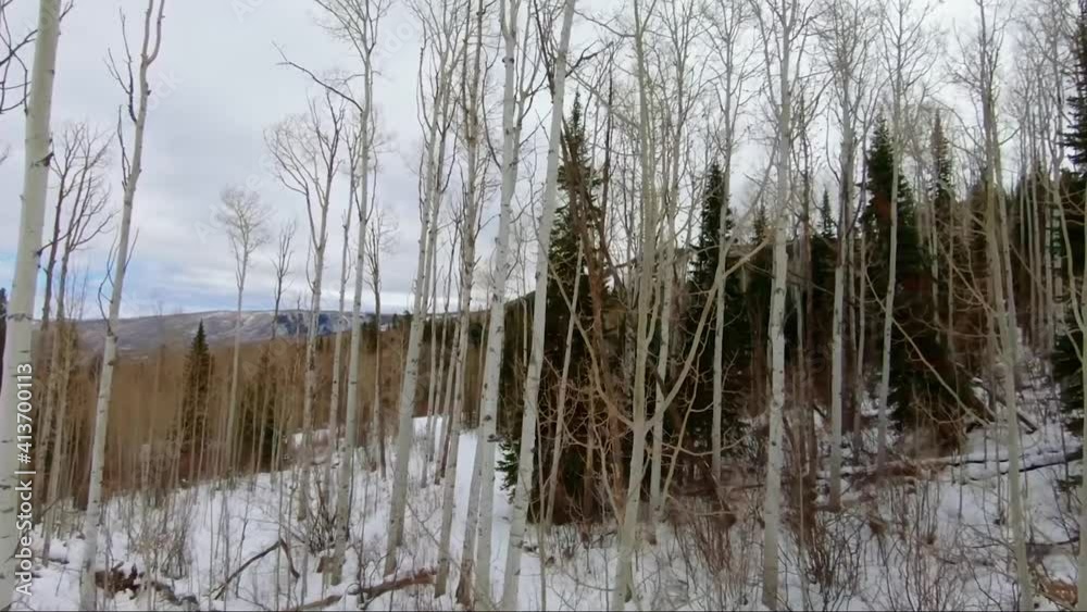 Beautiful point of view from a ski lift at a ski resort in Colorado on an overcast winter day passing tall aspen and pine trees looking into a forest. Beautiful point of view from a ski lift at a ski resort in Colorado on an overcast winter day passing tall aspen and pine trees looking into a forest.