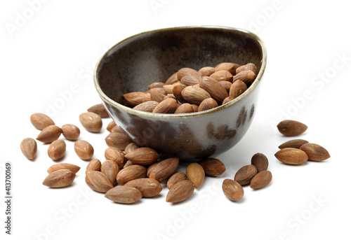 Torreya grandis seeds nut on white background photo