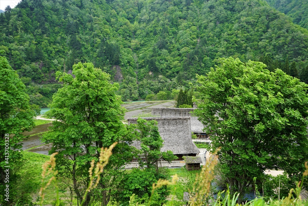 Traditional thatched roof house in Gokayama village, world heritage in Japan - 五箇山の合掌造り集落 富山県 日本 Traditional thatched roof house in Gokayama village, world heritage in Japan - 五箇山の合掌造り集落 富山県 日本