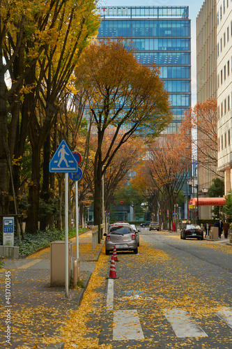 Nagoya Street in Autunm © Rodrigo
