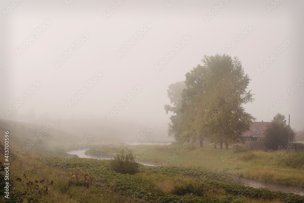 Scenic view of grassy field against sky in foggy weather Scenic view of grassy field against sky in foggy weather