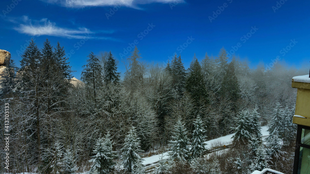 snow scene in mountain country