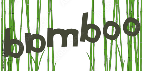 Bambus