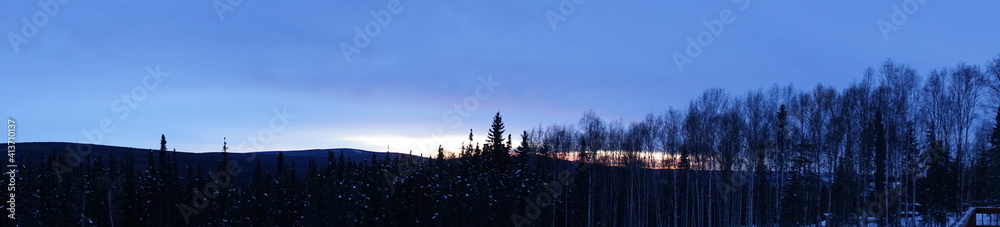 Winter forest with snow at sunrise in Fairbanks, Alaska. Panoramic view - 冬の森 雪景色 フェアバンクス アラスカ Winter forest with snow at sunrise in Fairbanks, Alaska. Panoramic view - 冬の森 雪景色 フェアバンクス アラスカ