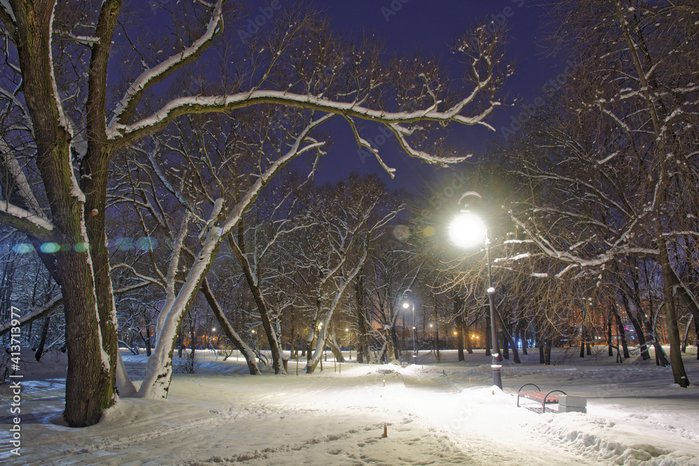 The city park is illuminated with electricity at night.