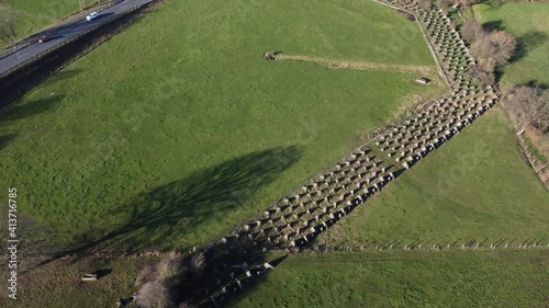 Aerial View, following the Siegfried Line, also known as Dragon Teeth. German defensive lines during the Second World War, near the city of Aachen. photo