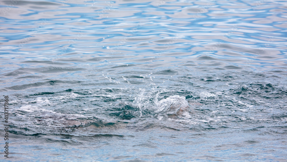 Obraz premium Splashes the surface of the sea over the water.