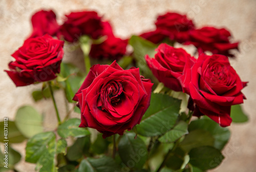 Red roses in a vase. © schankz