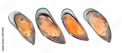 Boiled mussels on white background