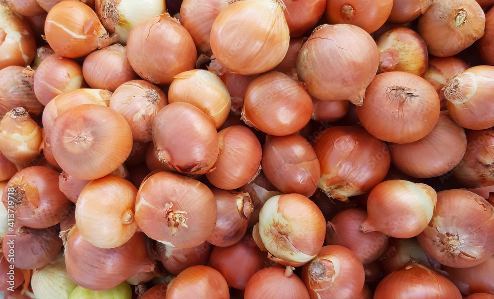 Yellow gold onions crop. Close up background Yellow gold onions crop. Close up background