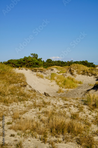 Landschaft mit Dünen und Strandseen am Darßer Ort, Nationalpark Vorpommersche Boddenlandschaft, Mecklenburg Vorpommern, Deutschland photo