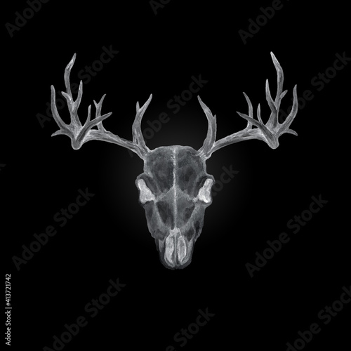 Watercolor illustration with a deer skull on a black background. Monochrome image.