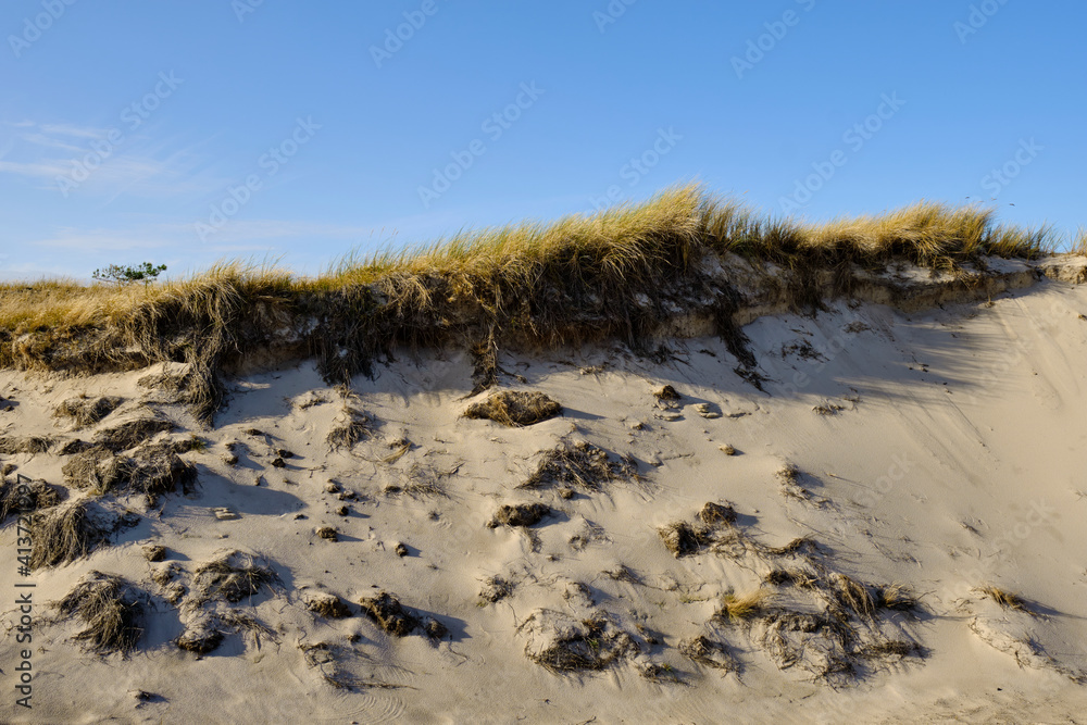 Landschaft mit Dünen und Strandseen am Darßer Ort, Nationalpark Vorpommersche Boddenlandschaft, Mecklenburg Vorpommern, Deutschland Landschaft mit Dünen und Strandseen am Darßer Ort, Nationalpark Vorpommersche Boddenlandschaft, Mecklenburg Vorpommern, Deutschland