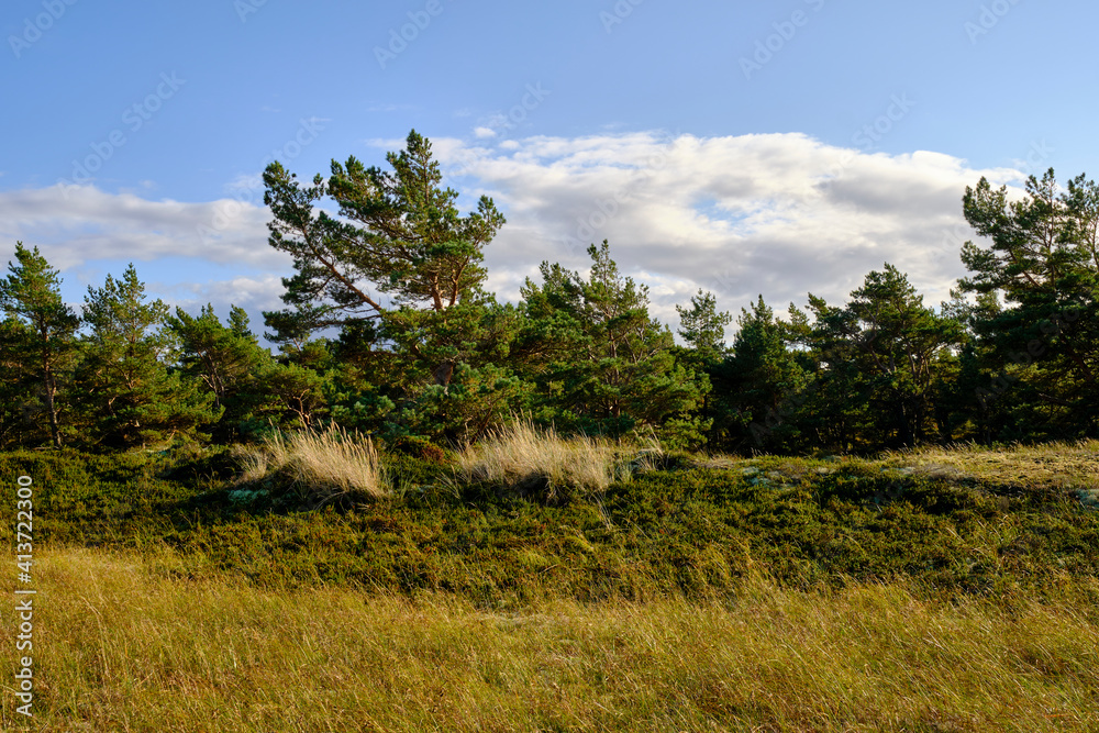 Landschaft mit Dünen und Strandseen am Darßer Ort, Nationalpark Vorpommersche Boddenlandschaft, Mecklenburg Vorpommern, Deutschland Landschaft mit Dünen und Strandseen am Darßer Ort, Nationalpark Vorpommersche Boddenlandschaft, Mecklenburg Vorpommern, Deutschland