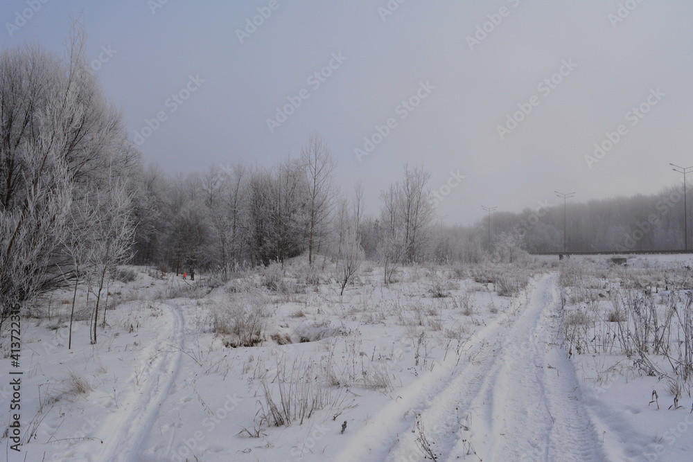 Obraz premium Winter landscape with snowy roads in overcast day.