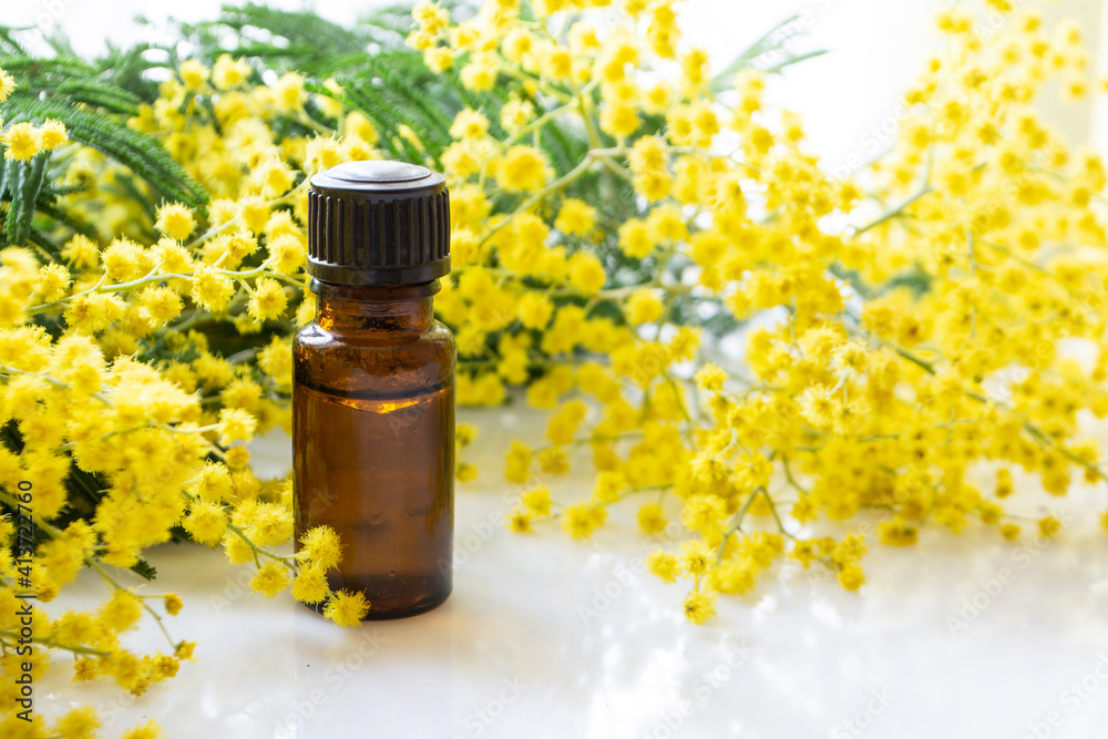 Mimosa essential oil in a glass bottle for hair and skin. Natural cosmetics, aromatherapy and spa concept