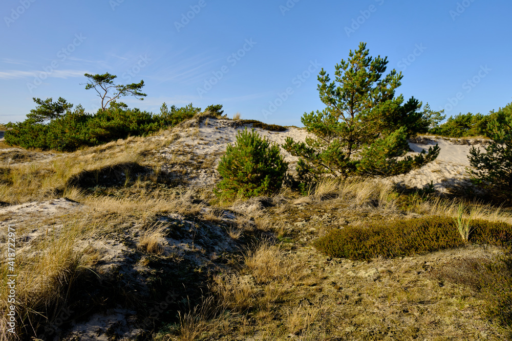 Landschaft mit Dünen und Strandseen am Darßer Ort, Nationalpark Vorpommersche Boddenlandschaft, Mecklenburg Vorpommern, Deutschland