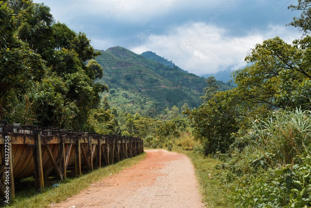 A dirt raod against a mountain background in the Rwenzori Mountains, Uganda