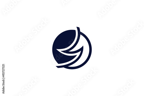 Circle Thunder logo template