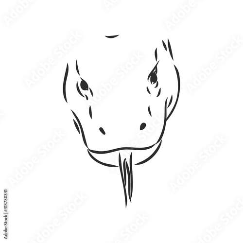 Fototapeta Naklejka Na Ścianę i Meble -  hand drawn, sketch illustration of Komodo dragon. varan vector sketch illustration