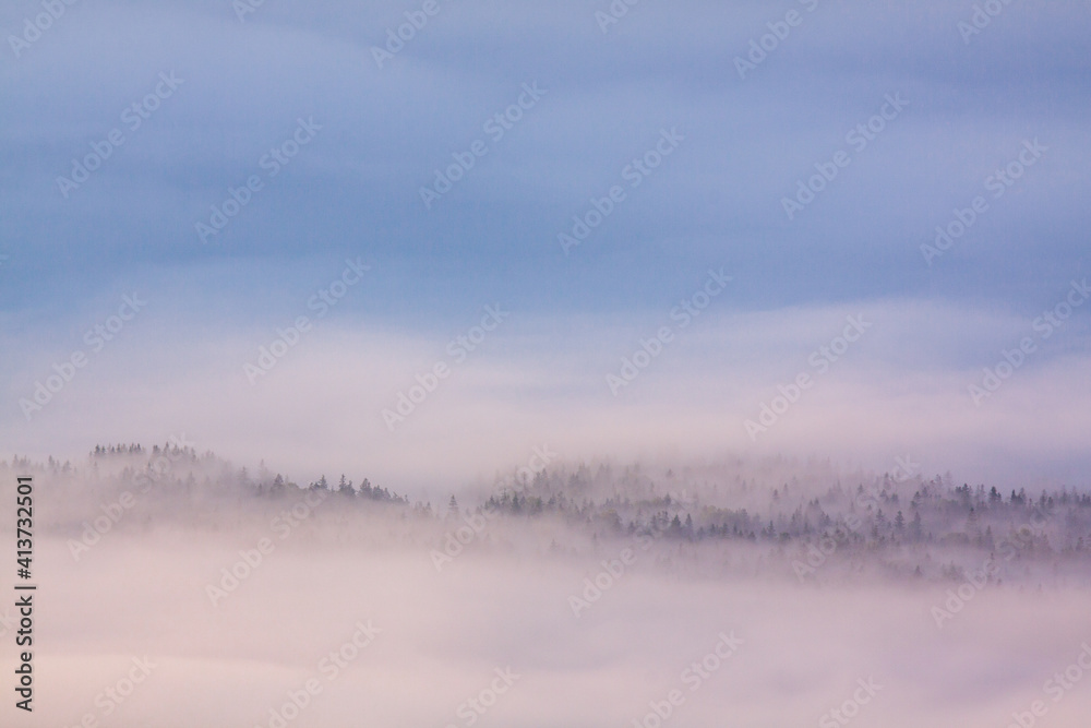 大雪山　銀泉台の雲海