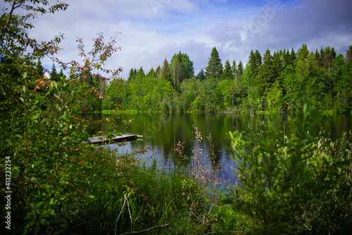 Summer landscape, swamp, forest lake, fishing spot, Green forest, wooden fishing pier