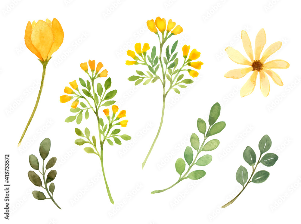 黄色い花と葉っぱの水彩イラスト Stock Illustration Adobe Stock 黄色い花と葉っぱの水彩イラスト Stock Illustration Adobe Stock