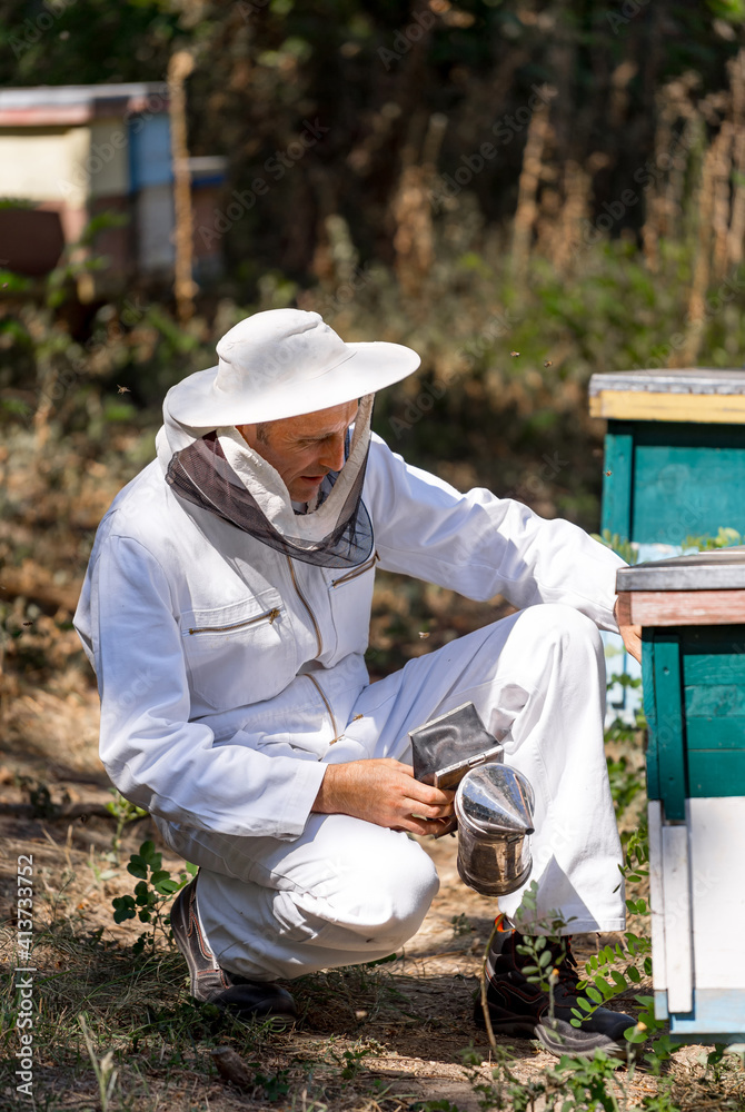 Beekeeper working collect honey. Beekeeping concept. Beekeeper working collect honey. Beekeeping concept.