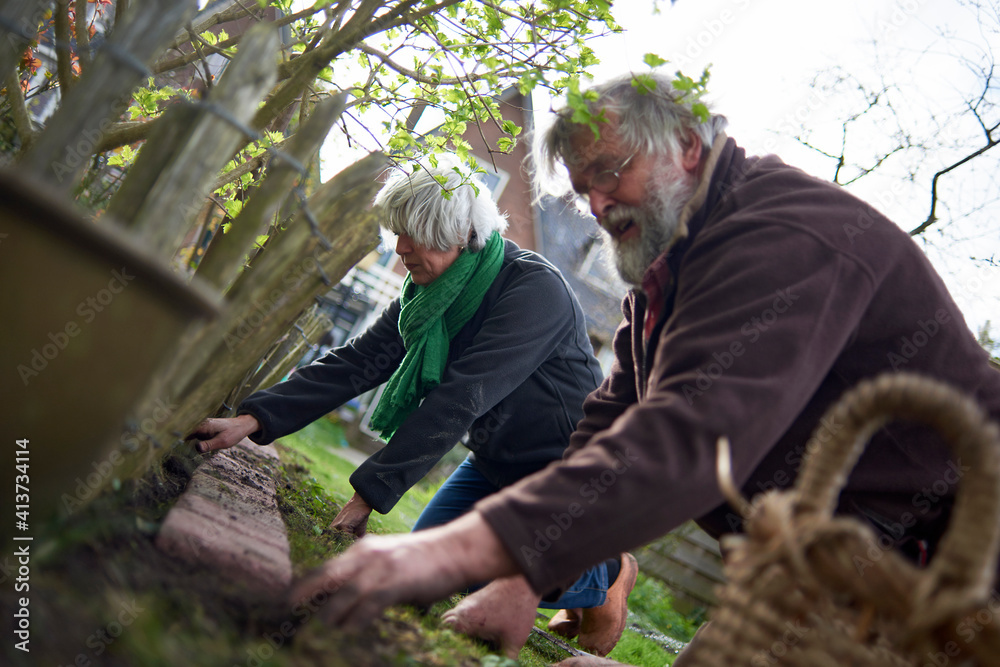 Senior couple arranging bricks by fence while gardening at backyard Senior couple arranging bricks by fence while gardening at backyard