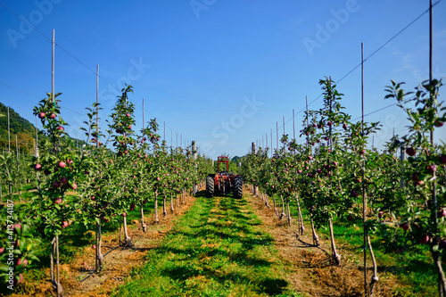 Tractor on field against clear sky at orchard photo