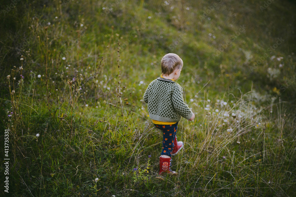 Rear view of carefree boy walking on grassy field Rear view of carefree boy walking on grassy field