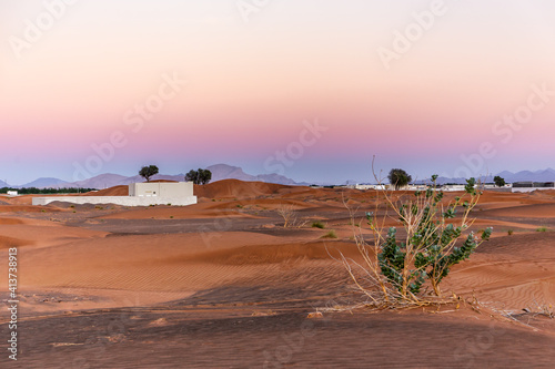 Desert landscape with sand dunes  pink sunset sky and Purple Crown Flower plant  Calotropis procera   Al Madam ghost town buried in sand  United Arab Emirates  mountains in the background.