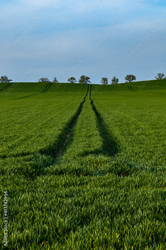 Obraz premium Long path between green fields to small hills with trees