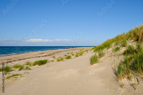 Landschaft mit D  nen und Strandseen am Dar  er Ort  Nationalpark Vorpommersche Boddenlandschaft  Mecklenburg Vorpommern  Deutschland
