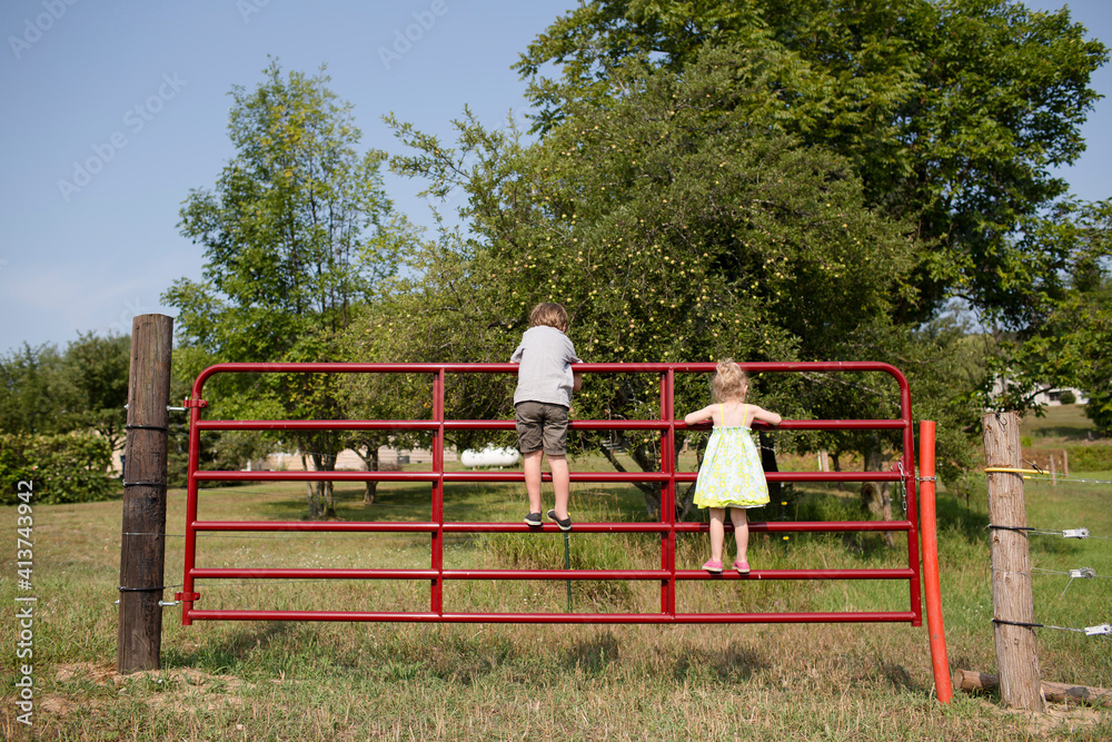 Rear view of playful siblings standing on railing in park Rear view of playful siblings standing on railing in park