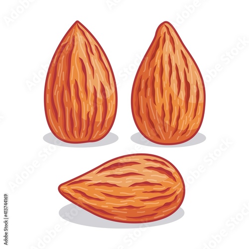 Realistic almond illustration with different shape