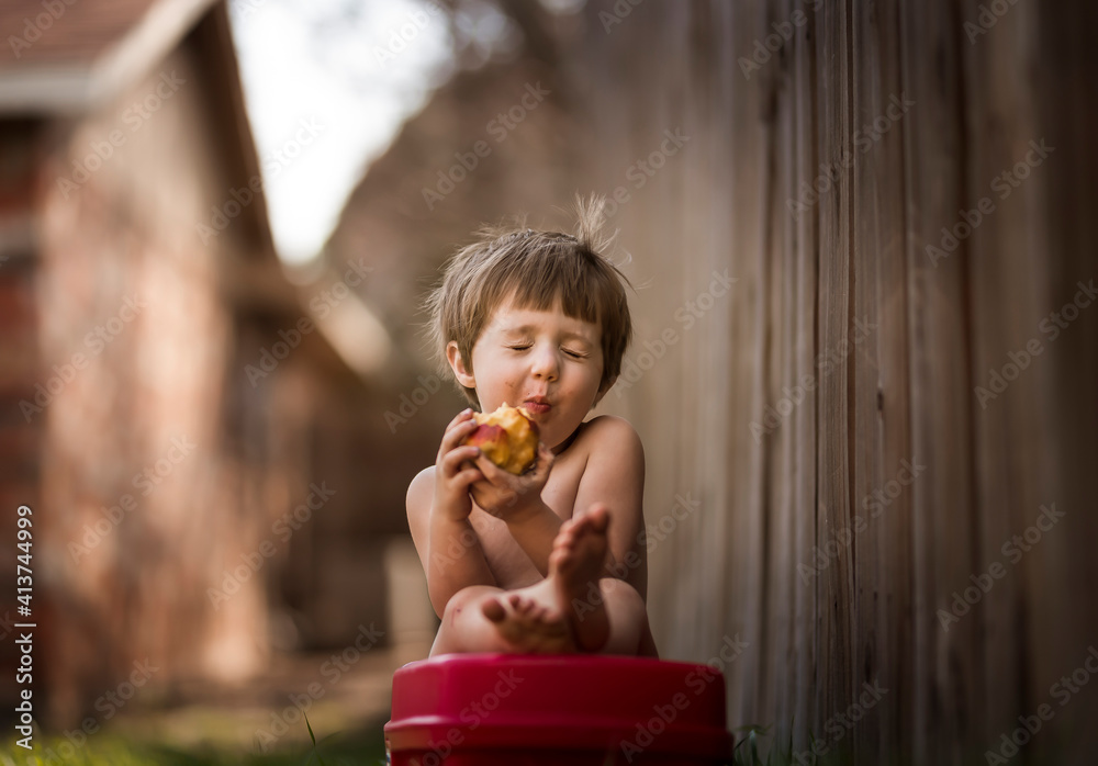 Boy eating apple while sitting on bench by wooden fence in backyard Boy eating apple while sitting on bench by wooden fence in backyard