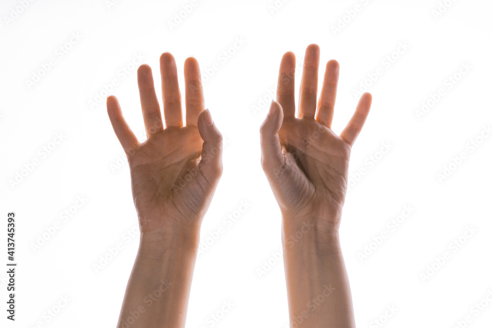 Hand gestures. Elegant female hands reach up, isolated on white, Hand gestures. Elegant female hands reach up, isolated on white,