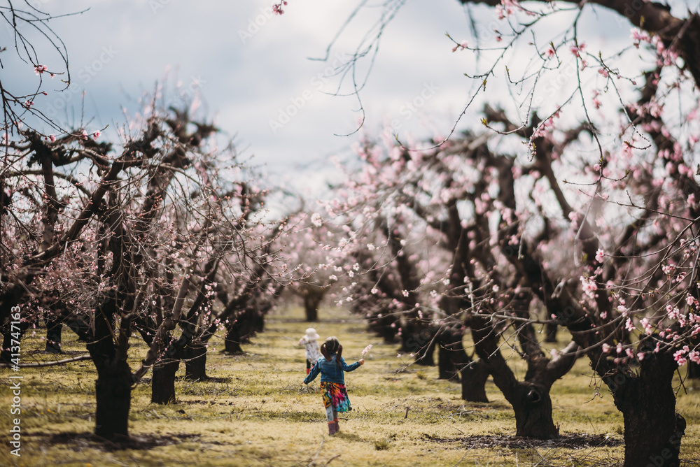 Rear view of sisters walking amidst flowering trees against sky Rear view of sisters walking amidst flowering trees against sky
