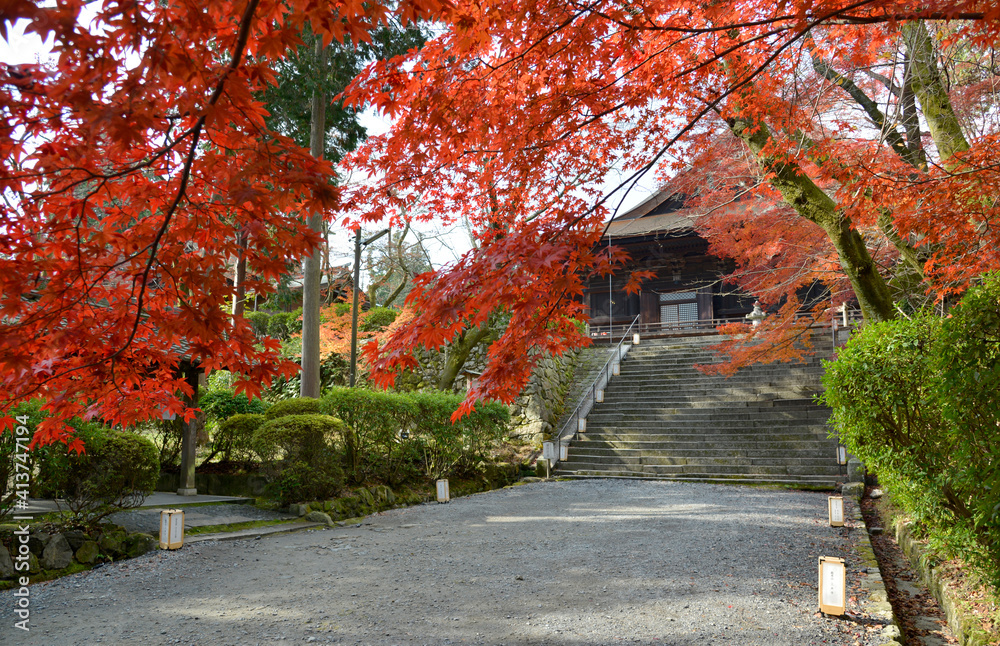 Naklejka premium 秋の三井寺 金堂 滋賀県大津市