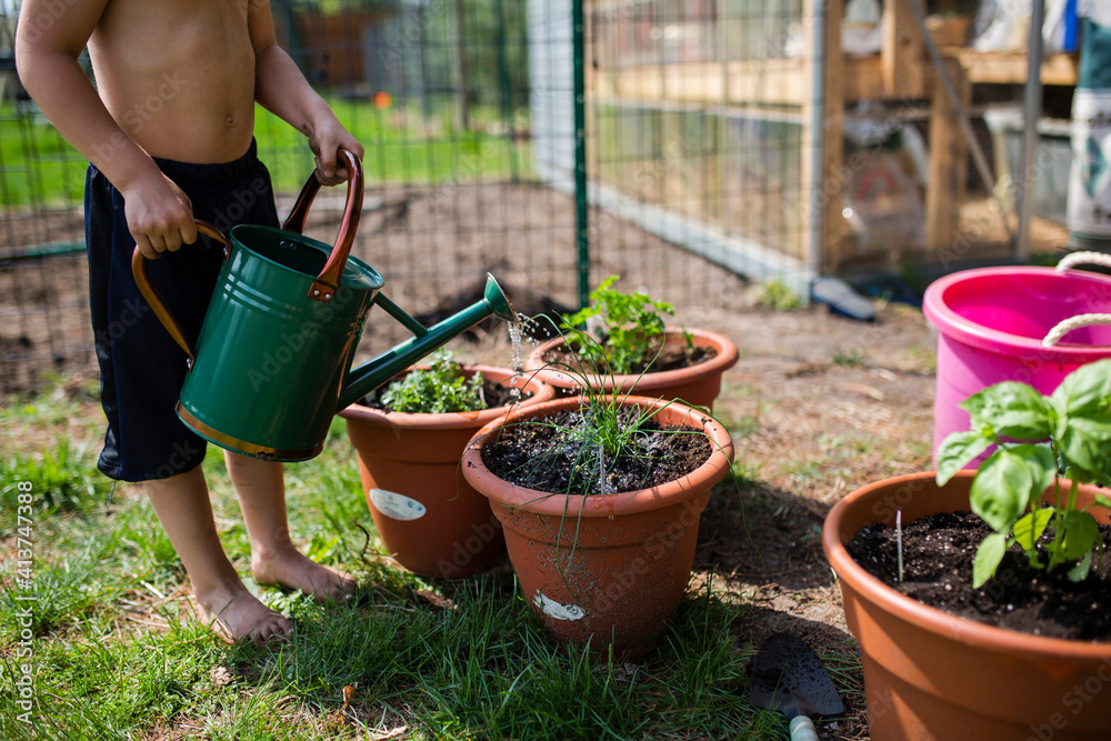 Low section of shirtless boy watering potted plants at backyard Low section of shirtless boy watering potted plants at backyard