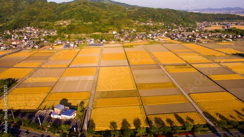 Springtime Fields in Isahaya City, Nagasaki Prefecture by drone_04
