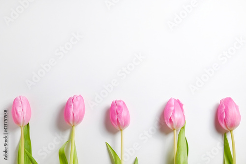 Fototapeta Naklejka Na Ścianę i Meble -  Fresh flower composition, bouquet of bi color pink tulips, isolated on white background. International Women's day, mother's day greeting concept. Copy space, close up, top view, flat lay.