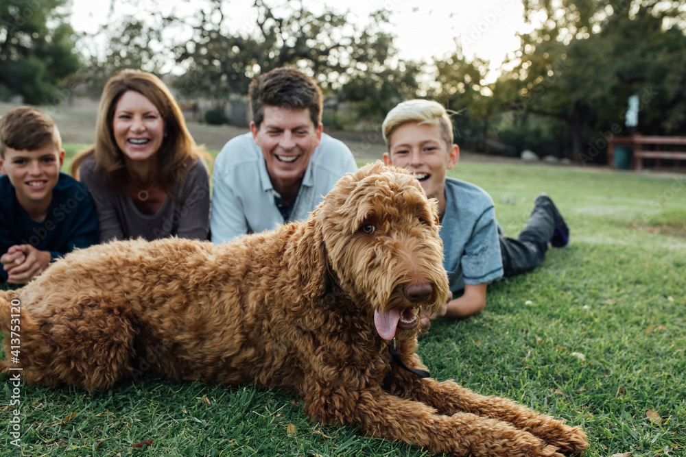 Happy family with Irish Wolfhound lying on grassy field at park Happy family with Irish Wolfhound lying on grassy field at park