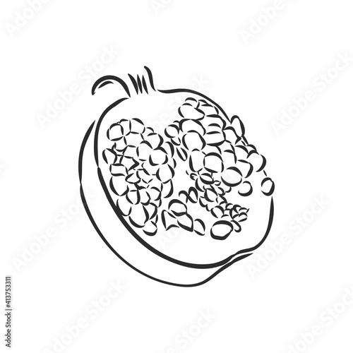 Vector sketch of tropical pomegranate fruit. Round outlines of ripe Garnet isolated on a white background, stock illustration on a horticultural theme. garnet, vector sketch on a white background