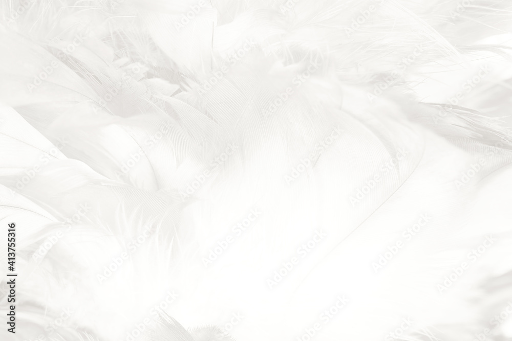 white feather wooly pattern texture background white feather wooly pattern texture background
