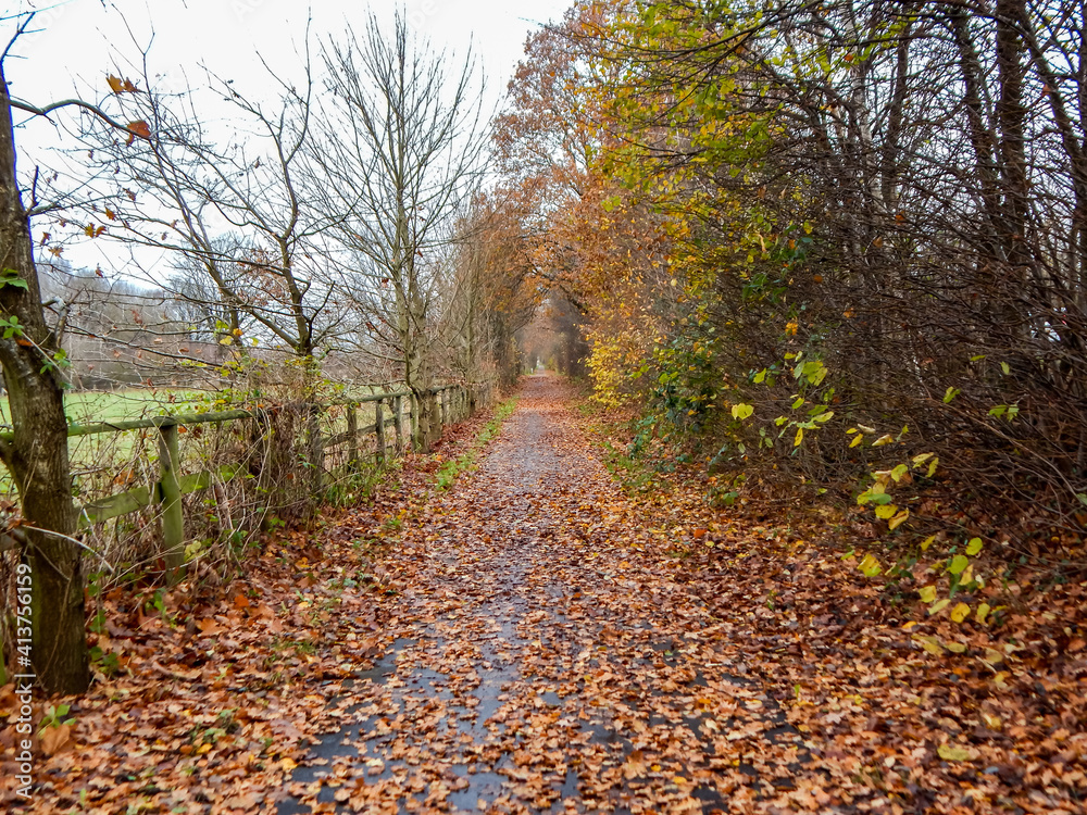 path in autumn park path in autumn park