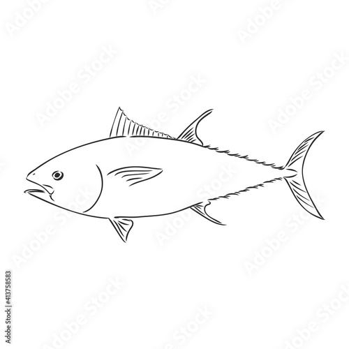 Vector illustration of tuna. Vector illustration can be used for creating logo and emblem for fishing clubs, prints, web and other crafts. tuna fish, vector sketch on white background