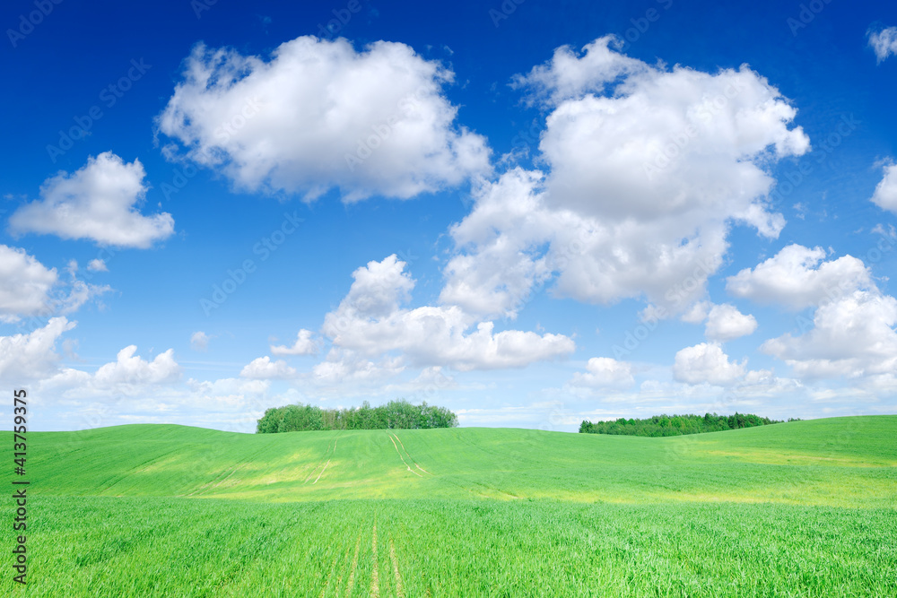 Idyllic view, green field and the blue sky with white clouds Idyllic view, green field and the blue sky with white clouds