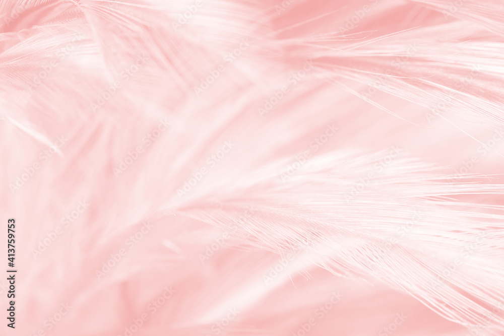 Beautiful light pink feather pattern texture background Beautiful light pink feather pattern texture background